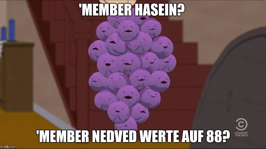 Member Berries Meme | 'MEMBER HASEIN? 'MEMBER NEDVED WERTE AUF 88? | image tagged in memes,member berries | made w/ Imgflip meme maker