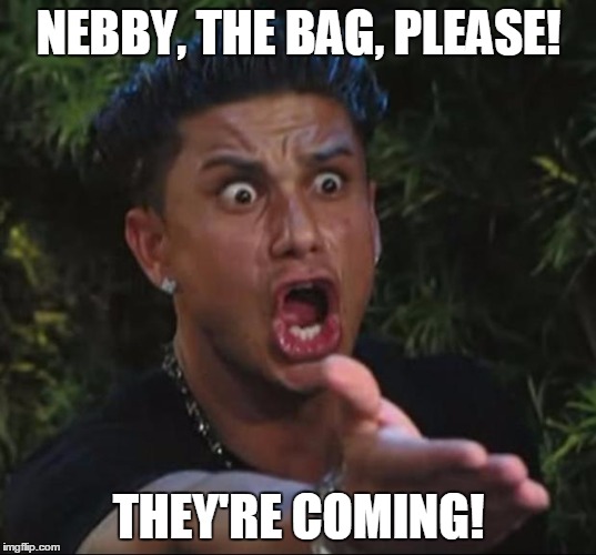 pauly | NEBBY, THE BAG, PLEASE! THEY'RE COMING! | image tagged in pauly | made w/ Imgflip meme maker