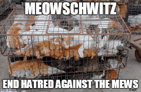 MEOWSCHWITZ; END HATRED AGAINST THE MEWS | image tagged in cats,torture,mews,meow | made w/ Imgflip meme maker