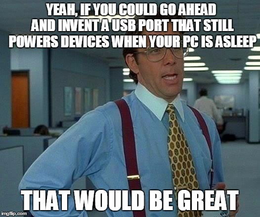 That Would Be Great Meme | YEAH, IF YOU COULD GO AHEAD AND INVENT A USB PORT THAT STILL POWERS DEVICES WHEN YOUR PC IS ASLEEP; THAT WOULD BE GREAT | image tagged in memes,that would be great | made w/ Imgflip meme maker