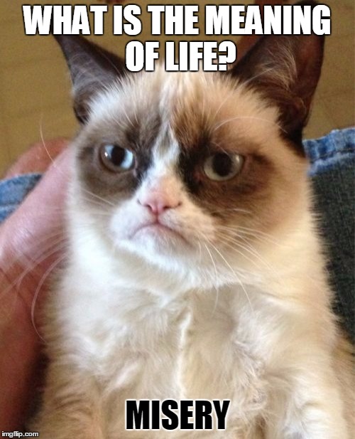 Grumpy Cat | WHAT IS THE MEANING OF LIFE? MISERY | image tagged in memes,grumpy cat | made w/ Imgflip meme maker
