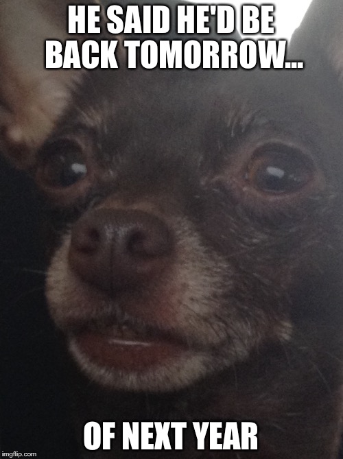 Sad realization dog | HE SAID HE'D BE BACK TOMORROW... OF NEXT YEAR | image tagged in sad realization dog | made w/ Imgflip meme maker