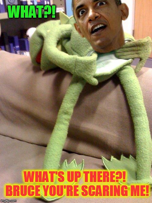 WHAT?! WHAT'S UP THERE?!  BRUCE YOU'RE SCARING ME! | image tagged in peek-a-bama all up in kermit's business | made w/ Imgflip meme maker