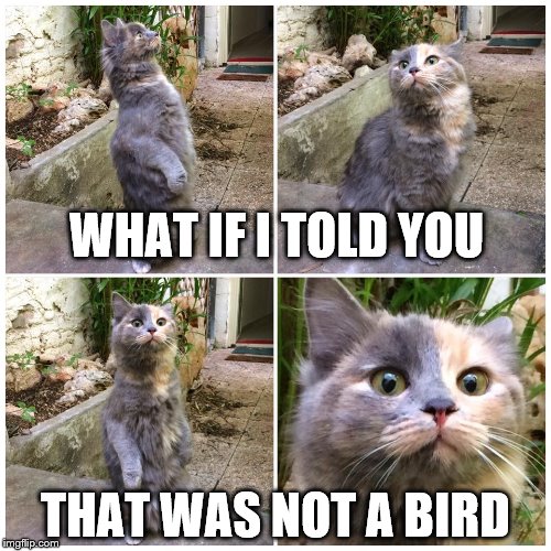 Fake Bird Call | WHAT IF I TOLD YOU; THAT WAS NOT A BIRD | image tagged in fake bird call | made w/ Imgflip meme maker