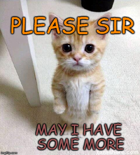Please Sir | PLEASE SIR; MAY I HAVE SOME MORE | image tagged in memes,cute cat,oliver twist cat | made w/ Imgflip meme maker