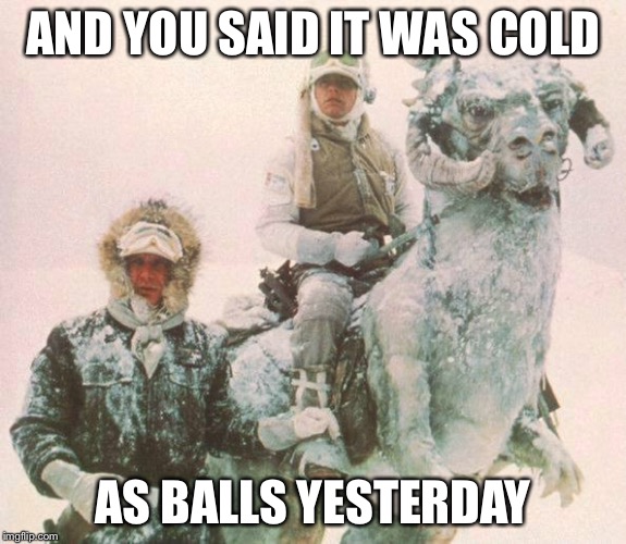 TaunTaun | AND YOU SAID IT WAS COLD; AS BALLS YESTERDAY | image tagged in tauntaun | made w/ Imgflip meme maker