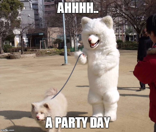 white dog | AHHHH.. A PARTY DAY | image tagged in white dog | made w/ Imgflip meme maker