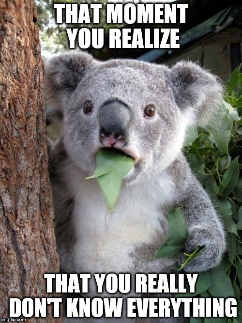 Surprised Koala | THAT MOMENT YOU REALIZE; THAT YOU REALLY DON'T KNOW EVERYTHING | image tagged in memes,surprised coala | made w/ Imgflip meme maker