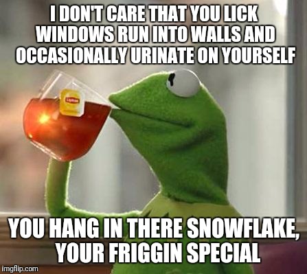 Blank Kermit and Tea | I DON'T CARE THAT YOU LICK WINDOWS RUN INTO WALLS AND OCCASIONALLY URINATE ON YOURSELF; YOU HANG IN THERE SNOWFLAKE,  YOUR FRIGGIN SPECIAL | image tagged in blank kermit and tea | made w/ Imgflip meme maker