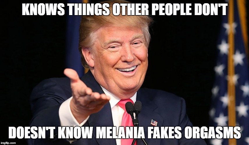 The Orange Oaf | KNOWS THINGS OTHER PEOPLE DON'T; DOESN'T KNOW MELANIA FAKES ORGASMS | image tagged in the orange oaf,donald trump | made w/ Imgflip meme maker