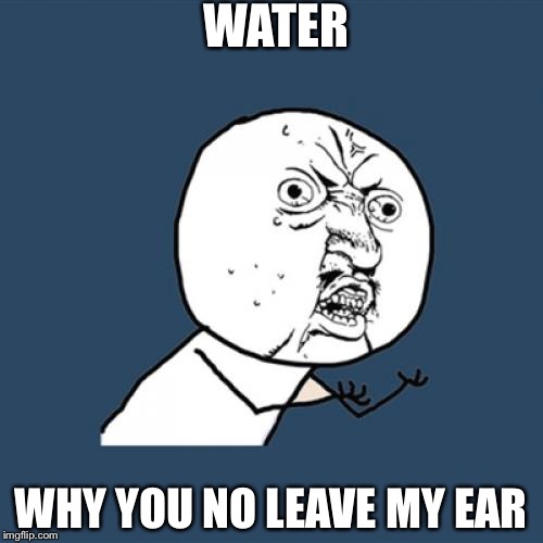 Right after swimming  | WATER; WHY YOU NO LEAVE MY EAR | image tagged in memes,y u no | made w/ Imgflip meme maker