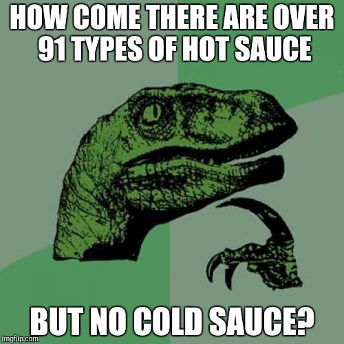 Philosoraptor Meme | HOW COME THERE ARE OVER 91 TYPES OF HOT SAUCE; BUT NO COLD SAUCE? | image tagged in memes,philosoraptor | made w/ Imgflip meme maker