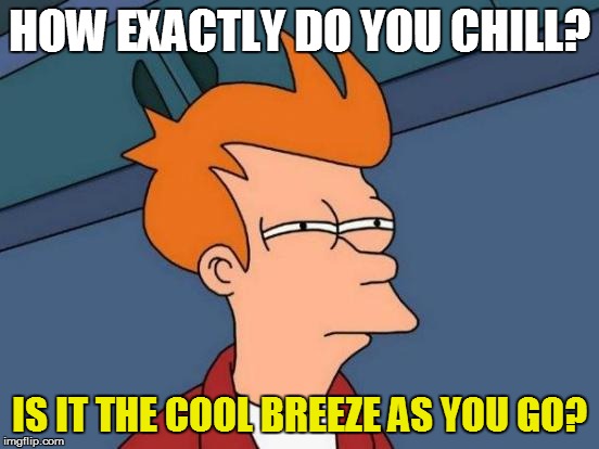Futurama Fry Meme | HOW EXACTLY DO YOU CHILL? IS IT THE COOL BREEZE AS YOU GO? | image tagged in memes,futurama fry | made w/ Imgflip meme maker