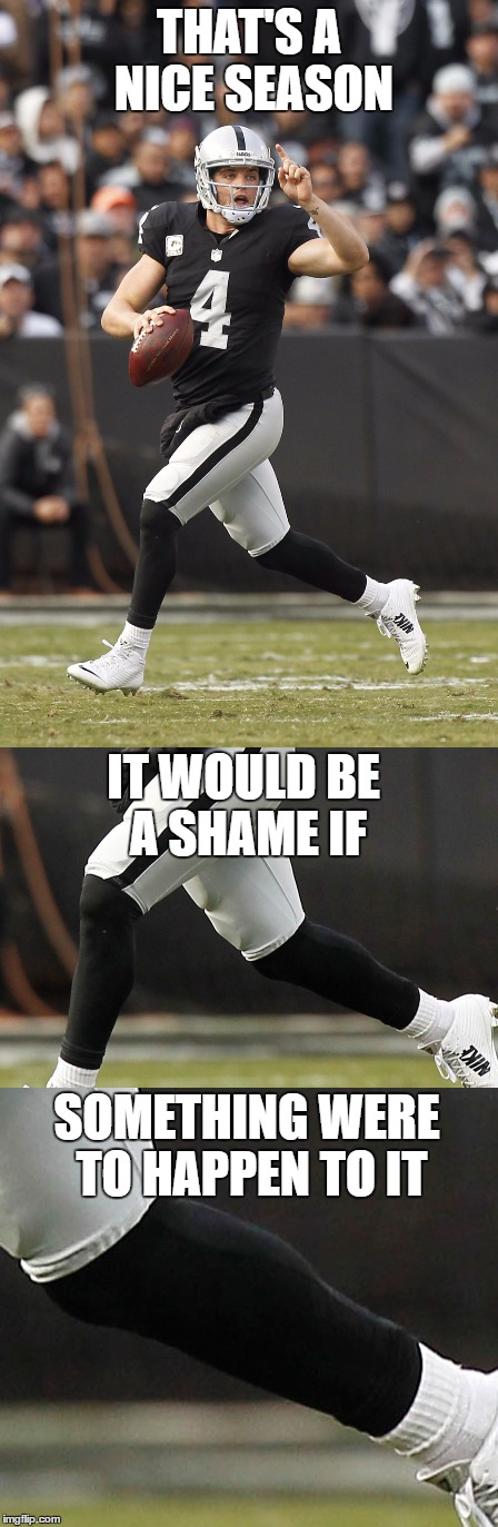 Raiders Season | THAT'S A NICE SEASON; IT WOULD BE A SHAME IF; SOMETHING WERE TO HAPPEN TO IT | image tagged in raiders,football,nfl,nfl memes | made w/ Imgflip meme maker