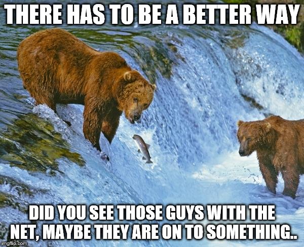 THERE HAS TO BE A BETTER WAY; DID YOU SEE THOSE GUYS WITH THE NET, MAYBE THEY ARE ON TO SOMETHING.. | image tagged in frustrated | made w/ Imgflip meme maker