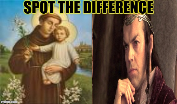 St.Anthony for Grandmothers | SPOT THE DIFFERENCE | image tagged in funny memes | made w/ Imgflip meme maker