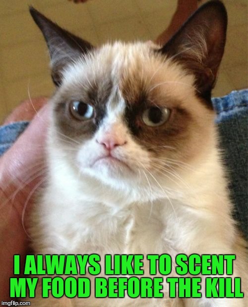 Grumpy Cat Meme | I ALWAYS LIKE TO SCENT MY FOOD BEFORE THE KILL | image tagged in memes,grumpy cat | made w/ Imgflip meme maker