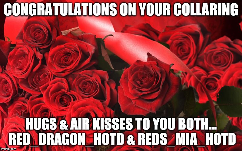 CONGRATULATIONS ON YOUR COLLARING; HUGS & AIR KISSES TO YOU BOTH... RED_DRAGON_HOTD & REDS_MIA_HOTD | made w/ Imgflip meme maker