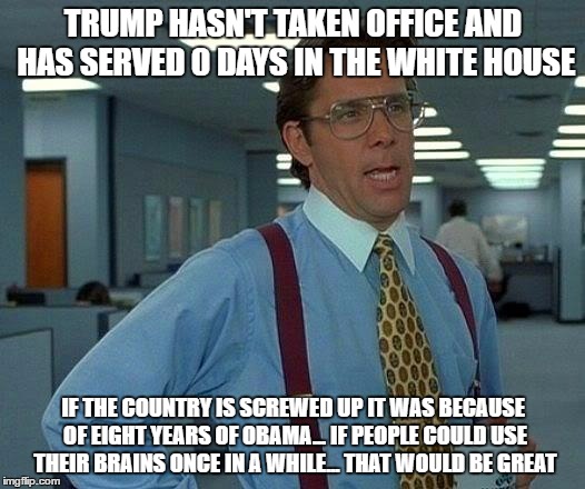 That Would Be Great Meme | TRUMP HASN'T TAKEN OFFICE AND HAS SERVED 0 DAYS IN THE WHITE HOUSE IF THE COUNTRY IS SCREWED UP IT WAS BECAUSE OF EIGHT YEARS OF OBAMA... IF | image tagged in memes,that would be great | made w/ Imgflip meme maker