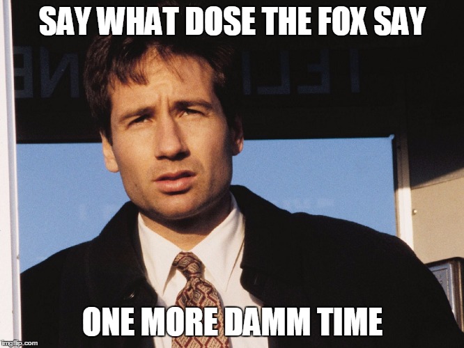 X Files | SAY WHAT DOSE THE FOX SAY; ONE MORE DAMM TIME | image tagged in x files | made w/ Imgflip meme maker