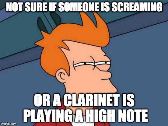 Futurama Fry Meme | NOT SURE IF SOMEONE IS SCREAMING; OR A CLARINET IS PLAYING A HIGH NOTE | image tagged in memes,futurama fry | made w/ Imgflip meme maker