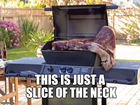THIS IS JUST A SLICE OF THE NECK | made w/ Imgflip meme maker