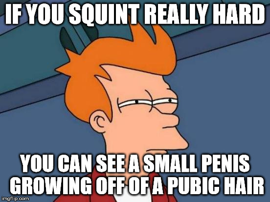 Futurama Fry Meme | IF YOU SQUINT REALLY HARD YOU CAN SEE A SMALL P**IS GROWING OFF OF A PUBIC HAIR | image tagged in memes,futurama fry | made w/ Imgflip meme maker