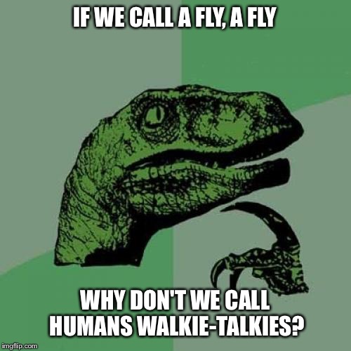 Philosoraptor | IF WE CALL A FLY, A FLY; WHY DON'T WE CALL HUMANS WALKIE-TALKIES? | image tagged in memes,philosoraptor | made w/ Imgflip meme maker