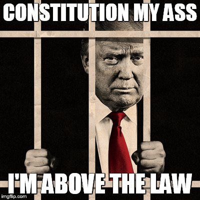 Constitution My Ass | CONSTITUTION MY ASS; I'M ABOVE THE LAW | image tagged in trump,memes,funny | made w/ Imgflip meme maker