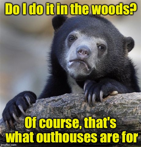 Confession Bear | Do I do it in the woods? Of course, that's what outhouses are for | image tagged in memes,confession bear | made w/ Imgflip meme maker