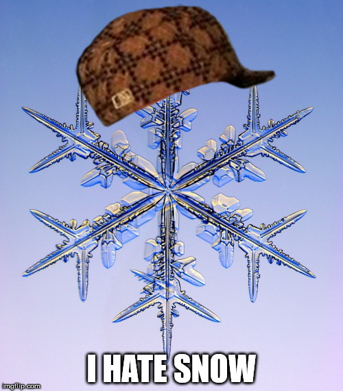 Scumbag Snow | I HATE SNOW | image tagged in scumbag,snow | made w/ Imgflip meme maker