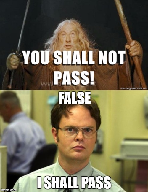 FALSE; I SHALL PASS | image tagged in false,you shall not pass | made w/ Imgflip meme maker
