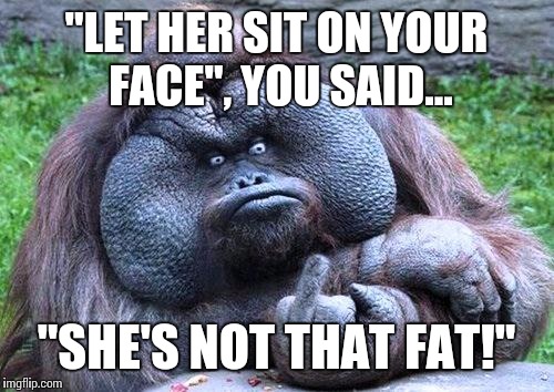 When your buddy hooks you up with the "pretty girls friend" | "LET HER SIT ON YOUR FACE", YOU SAID... "SHE'S NOT THAT FAT!" | image tagged in fat bottom girls,meme,monkey,ape face,drunk | made w/ Imgflip meme maker