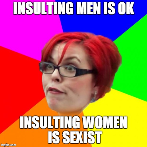 angry feminist | INSULTING MEN IS OK; INSULTING WOMEN IS SEXIST | image tagged in angry feminist | made w/ Imgflip meme maker
