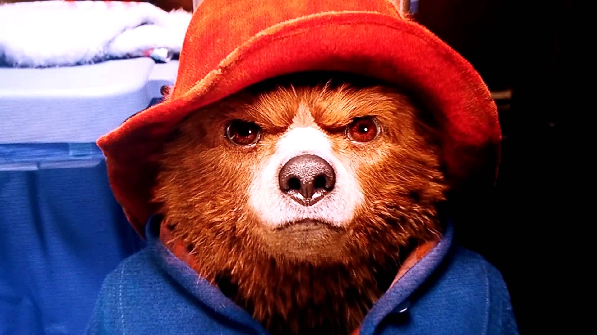 Paddington hard stare Blank Meme Template