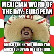 Mexican Fiesta | MEXICIAN WORD OF THE DAY: EUROPEAN; AMIGO I THINK YOU DRANK TOO MUCH EUROPEAN IN THE FRIDGE | image tagged in mexican fiesta | made w/ Imgflip meme maker