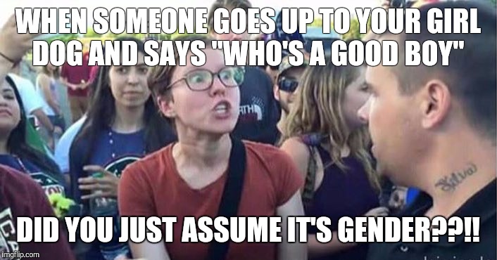 Did you just assume my gender | WHEN SOMEONE GOES UP TO YOUR GIRL DOG AND SAYS "WHO'S A GOOD BOY"; DID YOU JUST ASSUME IT'S GENDER??!! | image tagged in did you just assume my gender | made w/ Imgflip meme maker