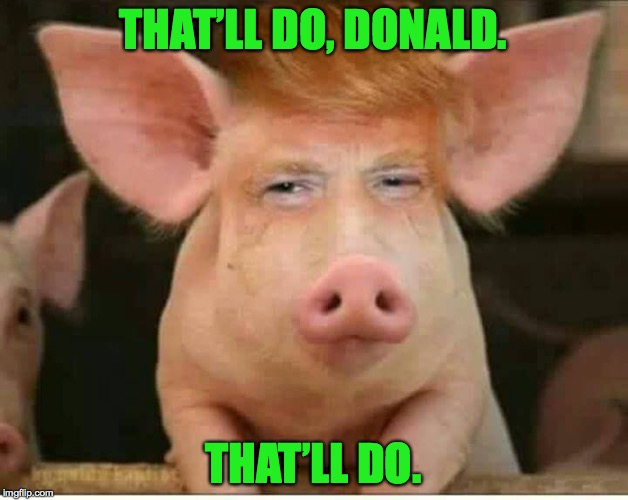 That'll_Do_Don | THAT’LL DO, DONALD. THAT’LL DO. | image tagged in that'll_do_don | made w/ Imgflip meme maker