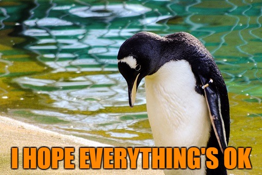 I Hope Everything Is OK | I HOPE EVERYTHING'S OK | image tagged in memes | made w/ Imgflip meme maker