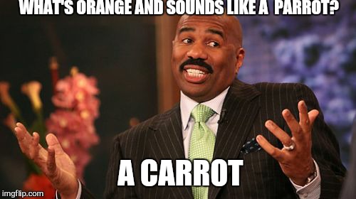 Steve Harvey Meme | WHAT'S ORANGE AND SOUNDS LIKE A  PARROT? A CARROT | image tagged in memes,steve harvey | made w/ Imgflip meme maker