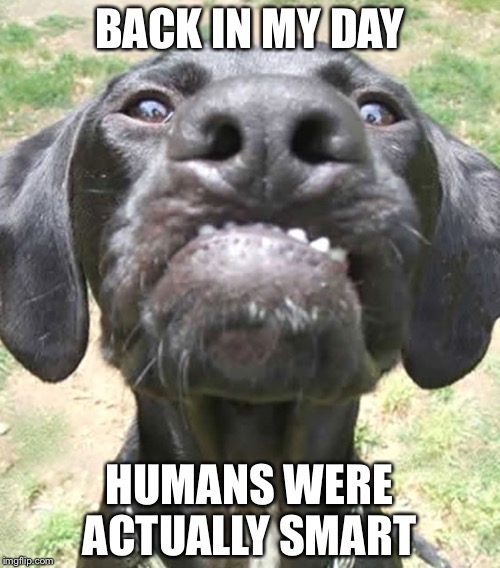 BACK IN MY DAY; HUMANS WERE ACTUALLY SMART | image tagged in back in my day | made w/ Imgflip meme maker