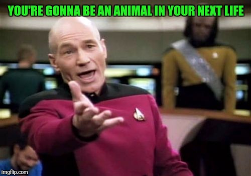 Picard Wtf Meme | YOU'RE GONNA BE AN ANIMAL IN YOUR NEXT LIFE | image tagged in memes,picard wtf | made w/ Imgflip meme maker