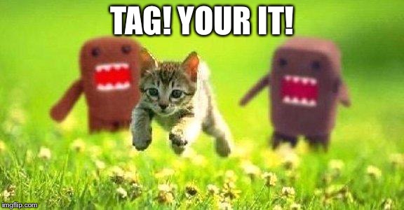 Kittens Running from Domo |  TAG! YOUR IT! | image tagged in kittens running from domo | made w/ Imgflip meme maker