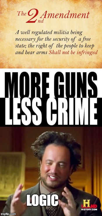 LOGIC | image tagged in ancient aliens guy,2nd amendment,logic | made w/ Imgflip meme maker