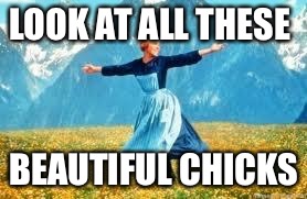 Look At All These | LOOK AT ALL THESE; BEAUTIFUL CHICKS | image tagged in memes,look at all these,chicks | made w/ Imgflip meme maker