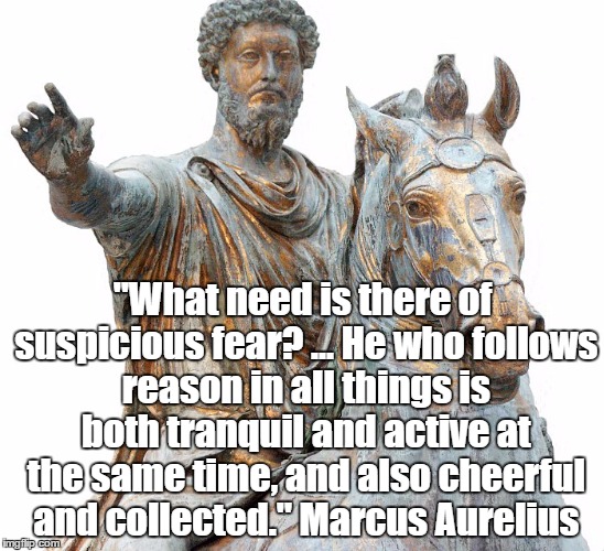 "What need is there of suspicious fear? ... He who follows reason in all things is both tranquil and active at the same time, and also cheer | made w/ Imgflip meme maker