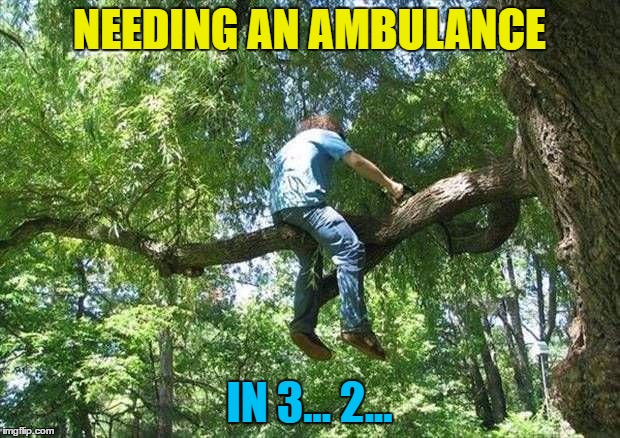 Common sense - it's not for everyone | NEEDING AN AMBULANCE; IN 3... 2... | image tagged in tree cutter,memes,diy,fail,ambulance | made w/ Imgflip meme maker