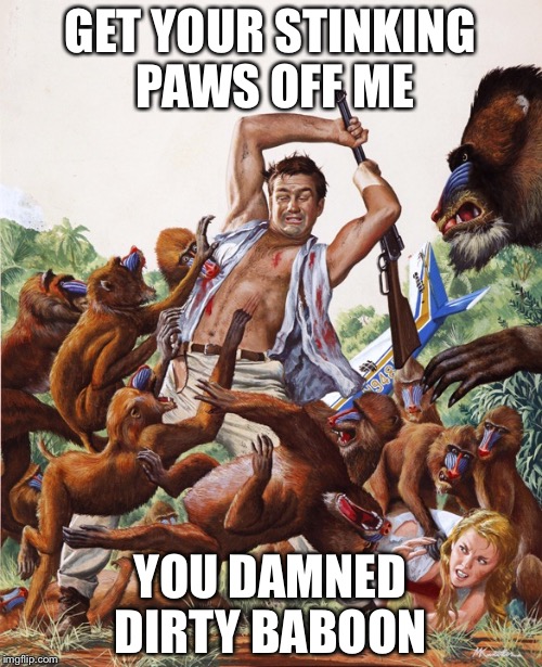 GET YOUR STINKING PAWS OFF ME; YOU DAMNED DIRTY BABOON | image tagged in filthy baboon | made w/ Imgflip meme maker