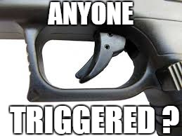 ANYONE; TRIGGERED ? | image tagged in triggered | made w/ Imgflip meme maker