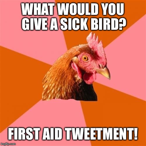 Anti Joke Chicken | WHAT WOULD YOU GIVE A SICK BIRD? FIRST AID TWEETMENT! | image tagged in memes,anti joke chicken | made w/ Imgflip meme maker
